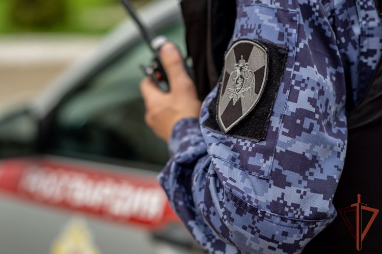 Повредившего карету «скорой» злоумышленника задержали росгвардейцы в Краснодаре 