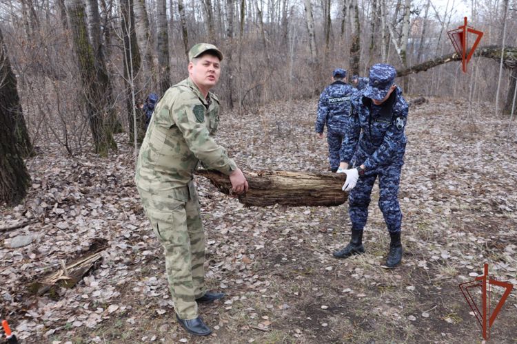 Росгвардейцы привели в порядок братскую могилу в Хабаровске 