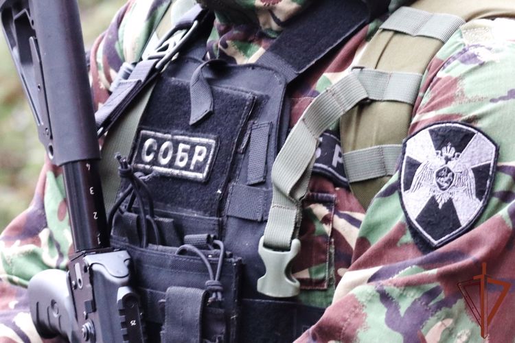 При содействии Росгвардии в Ленобласти задержан подозреваемый в серии угонов машин