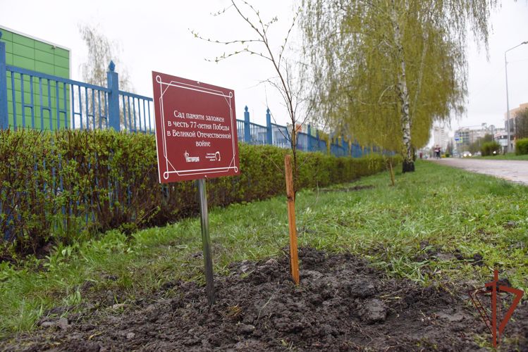 Белгородские росгвардейцы присоединились к международной патриотической акции «Сад памяти»