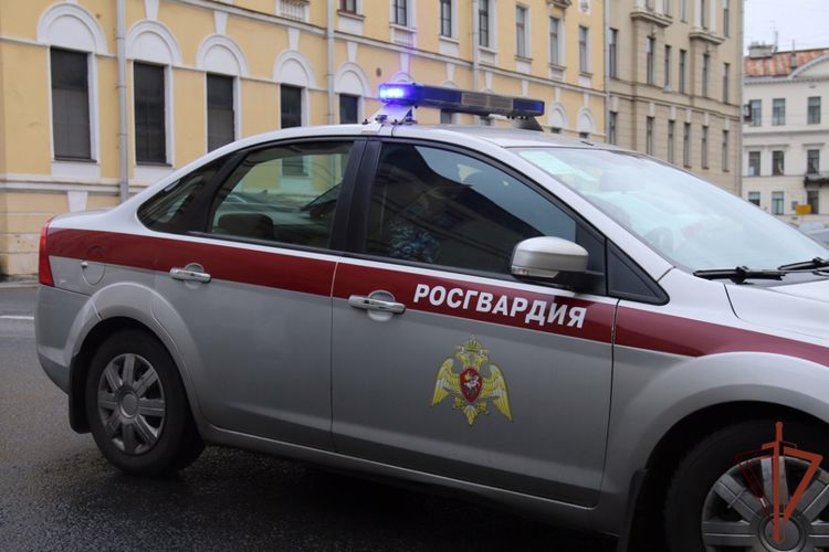 Патруль Росгвардии защитил петербурженку от агрессивного злоумышленника 