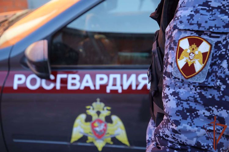 Росгвардеец в Архангельской области задержал с поличным подозреваемого в краже 