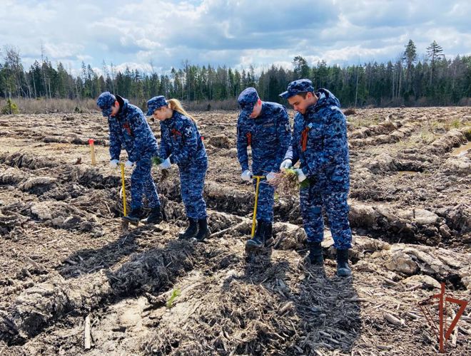 Центр специального назначения вневедомственной охраны Росгвардии поддержал акцию «Лес Победы»