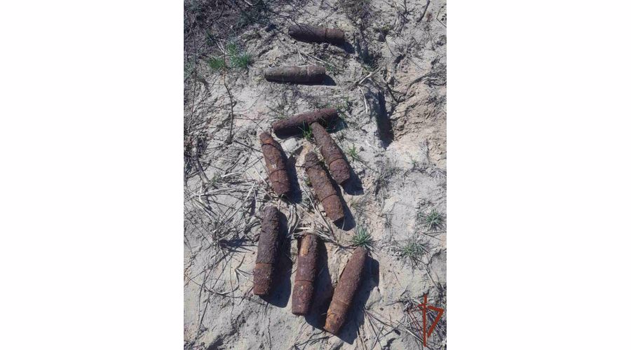 Группа разминирования нижегородского ОМОН Росгвардии обследовала снаряды времен войны