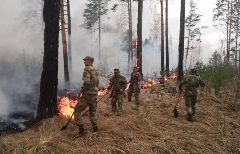 Росгвардейцы ликвидировали возгорание вблизи важного государственного объекта в Зауралье 