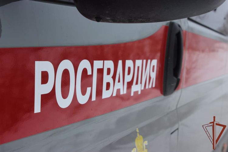 Подозреваемую в тяжком преступлении задержали сотрудники Росгвардии в Челябинске