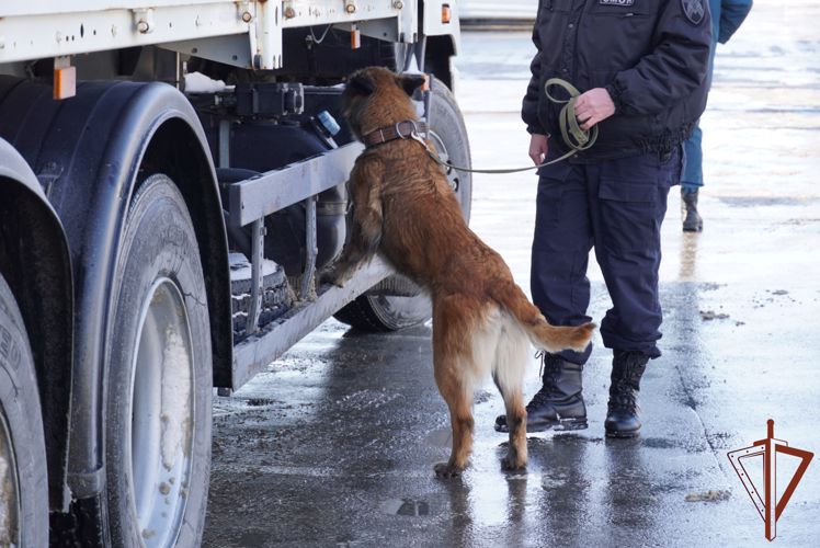 Росгвардейцы в Чувашии приняли участие во встрече вынужденных переселенцев с Донбасса