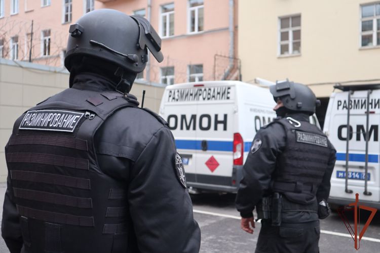 Специалисты ОМОН Росгвардии обезвредили в Ленинградской области боеприпасы времен войны