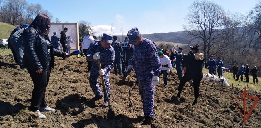 Росгвардия поддержала международную акцию «Сад памяти» в Карачаево-Черкесии