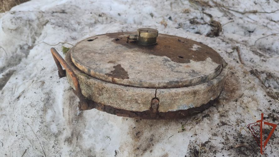 Взрывотехники ОМОН обследовали в Вологодской области боеприпас времен Великой Отечественной войны