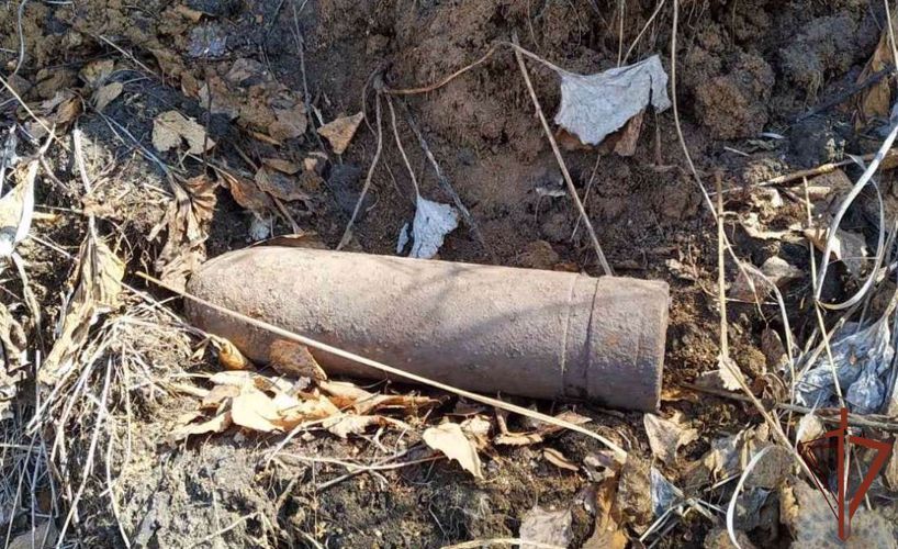 Взрывотехники ОМОН Росгвардии уничтожили  два  снаряда, обнаруженные в Тюменской области