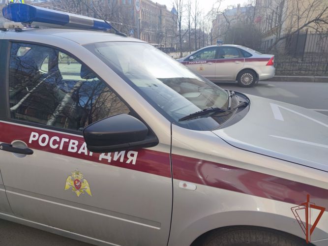 Патруль Росгвардии в Петербурге задержал подозреваемую в нанесении ножевых ранений женщине