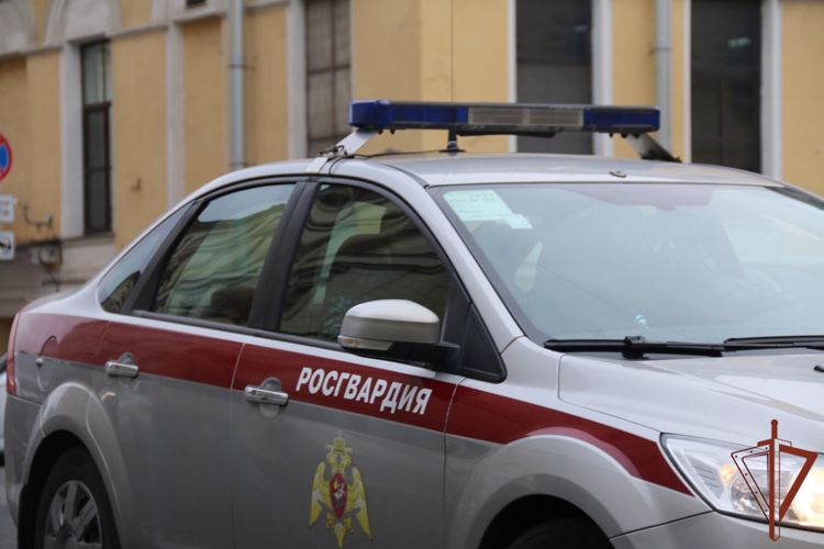 Нарядом Росгвардии в Петербурге задержан угрожавший прохожим ножом хулиган