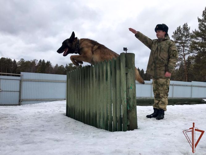 В Уральском округе Росгвардии стартовал учебно-методический сбор кинологов