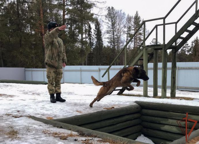 В Уральском округе Росгвардии стартовал учебно-методический сбор кинологов
