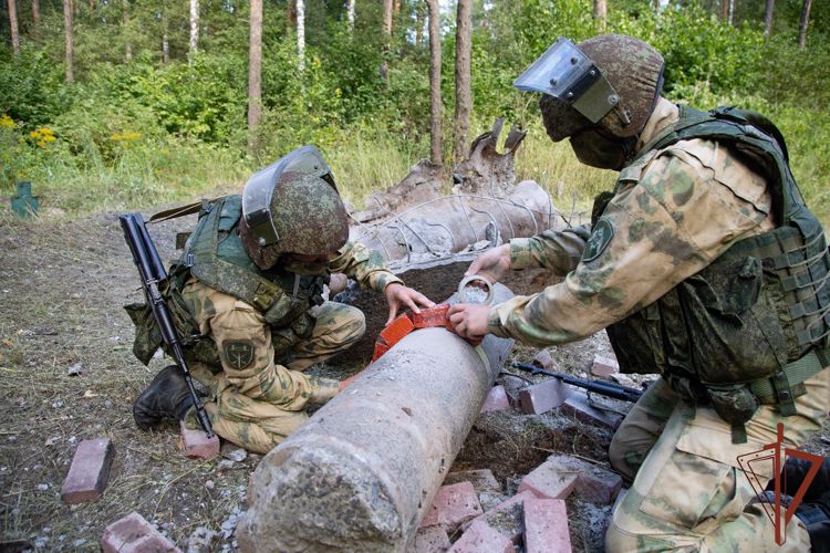 Военные инженеры Росгвардии обезвредили 50 неразорвавшихся боеприпасов в Харьковской области