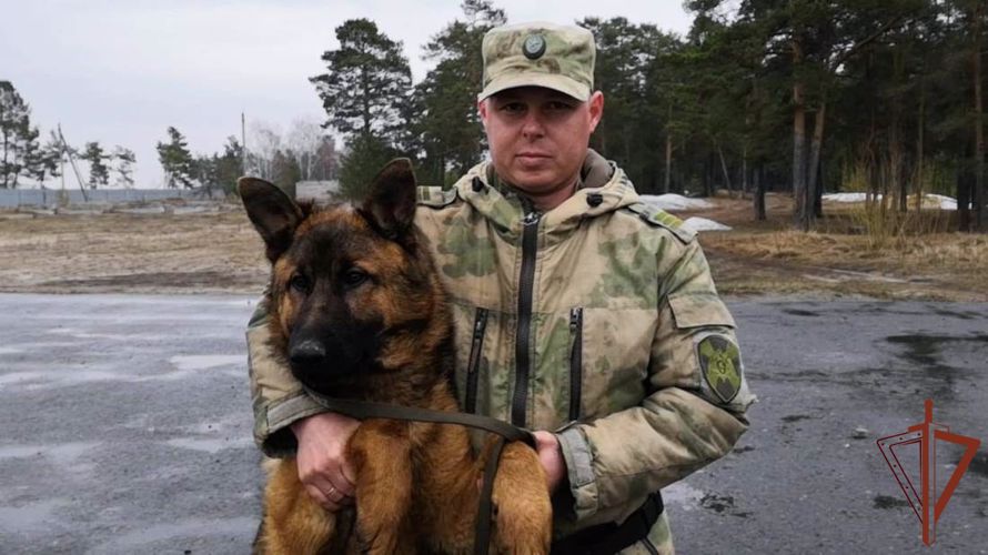 Кинологический центр Уральского округа Росгвардии передал служебных собак в подразделения ведомства (видео)