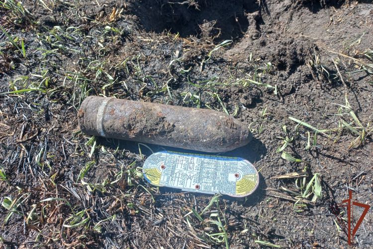 Взрывотехники Росгвардии уничтожили боеприпас, обнаруженный в Новосибирской области