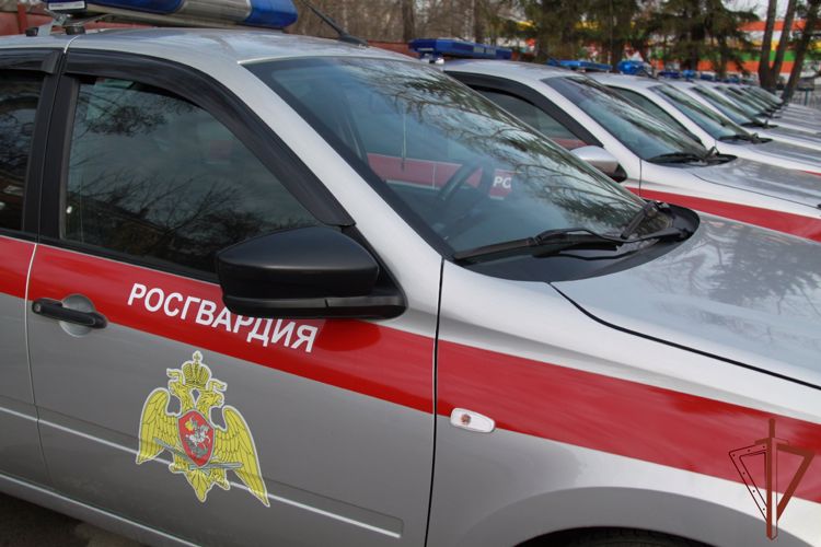 В Новосибирске сотрудники вневедомственной охраны Росгвардии оперативно разыскали пропавшего ребенка