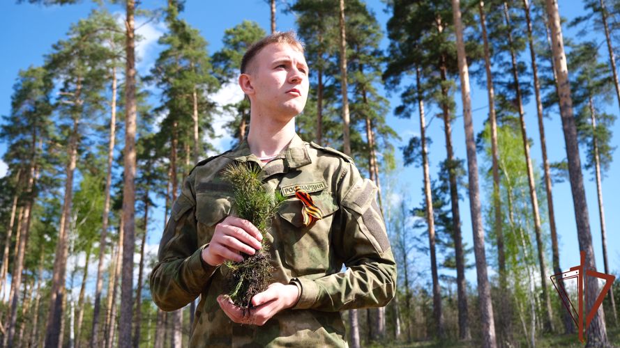 Тамбовские росгвардейцы присоединились к международной акции «Сад памяти»