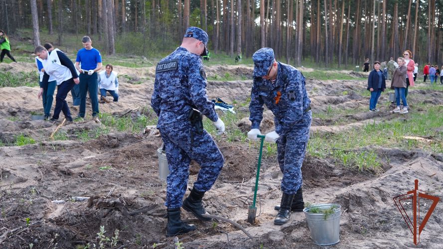 Тамбовские росгвардейцы присоединились к международной акции «Сад памяти»