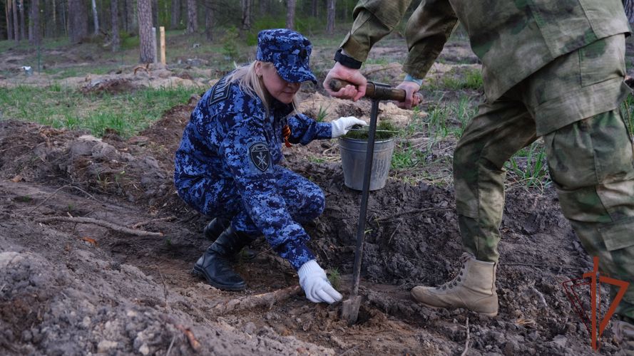 Тамбовские росгвардейцы присоединились к международной акции «Сад памяти»