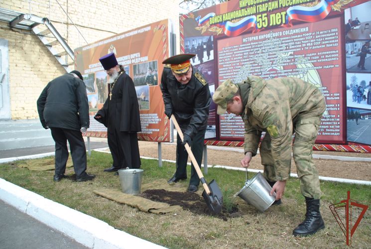 В рамках акции «Своих не бросаем» в Кирове на территории воинской части Росгвардии высадили кедровую аллею