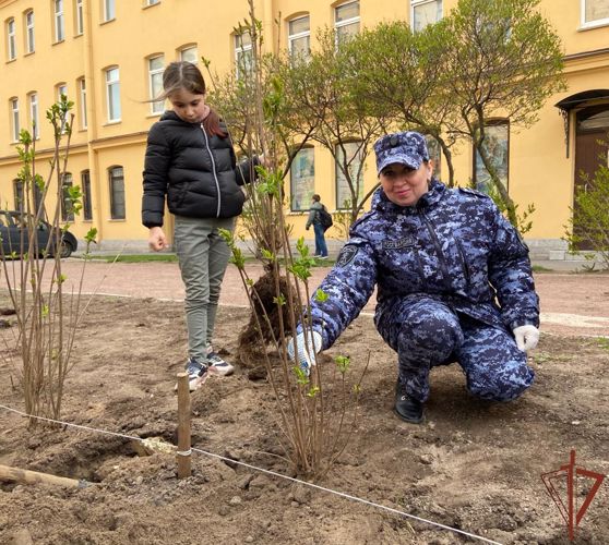 Росгвардейцы, суворовцы и воспитанники соцучреждения присоединились к всероссийской акции «Сад памяти» в Санкт-Петербурге