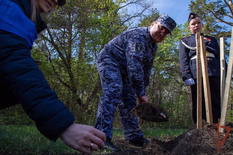 По инициативе ветеранов Росгвардии в Челябинске высажены дубы в память о павших воинах Великой Отечественной 