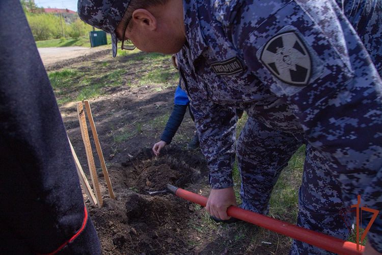 По инициативе ветеранов Росгвардии в Челябинске высажены дубы в память о павших воинах Великой Отечественной 