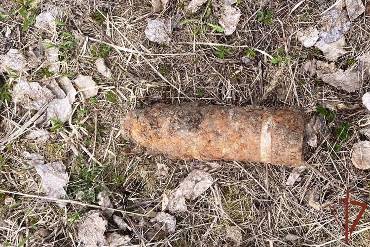 В Санкт-Петербурге и Ленобласти специалисты ОМОН «Бастион» Росгвардии обследовали более десятка опасных предметов