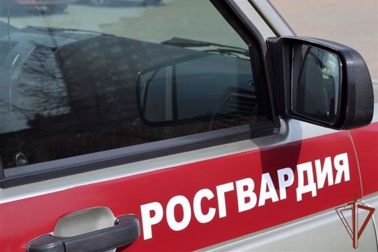 Патруль Росгвардии разыскал пропавшего ребенка