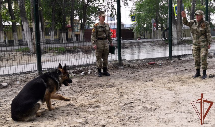 Будущие кинологи Росгвардии проходят практику в центре подготовки в Уральском округе (видео)
