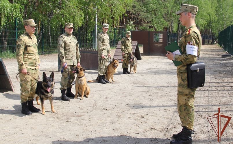 Будущие кинологи Росгвардии проходят практику в центре подготовки в Уральском округе (видео)