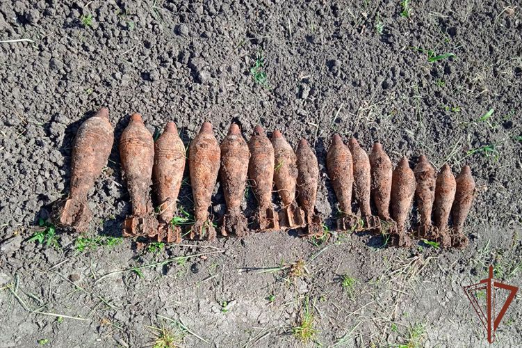 Взрывотехники Росгвардии уничтожили 23 боеприпаса времен Великой Отечественной войны 