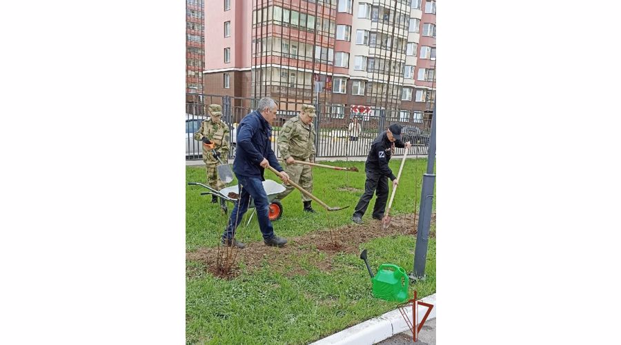 Росгвардия поддержала проект «Сирень Победы» в Северной столице