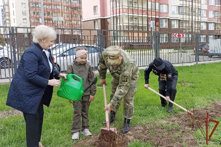 Росгвардия поддержала проект «Сирень Победы» в Северной столице