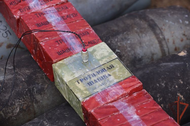 Росгвардейцы обезвредили СВУ и задержали пособника националистов в Луганской области