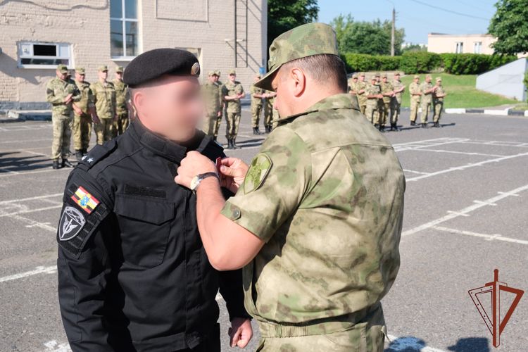 Росгвардейцам из Курска - участникам спецоперации вручены госнаграды