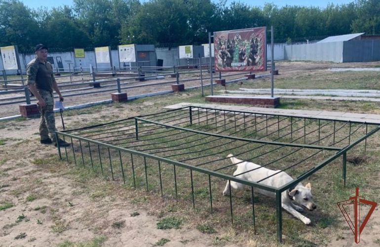 Начальники кинологических служб Уральского округа Росгвардии обменялись опытом в ходе учебно-методического сбора в Тюмени