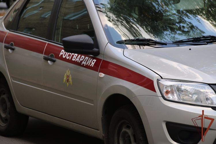 Стрелявшего в мотоциклиста злоумышленника задержали росгвардейцы в Ленобласти