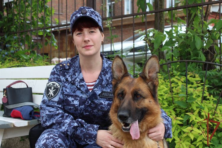 Вологодским журналистам о тонкостях службы в свой профессиональный праздник рассказали кинологи-росгвардейцы