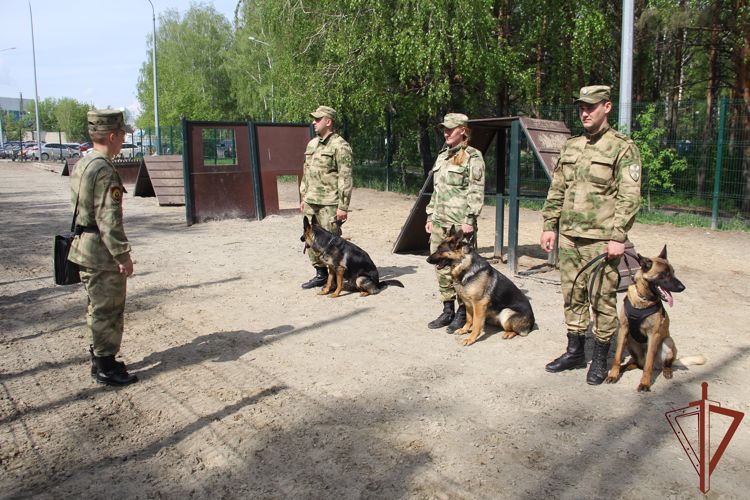  Росгвардия познакомит участников и гостей выставки «Безопасный Урал» с секретами подготовки служебных собак 