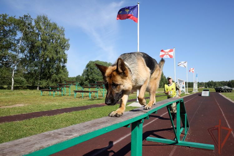 Команда Росгвардии стала призером международного кинологического конкурса «Верный друг»