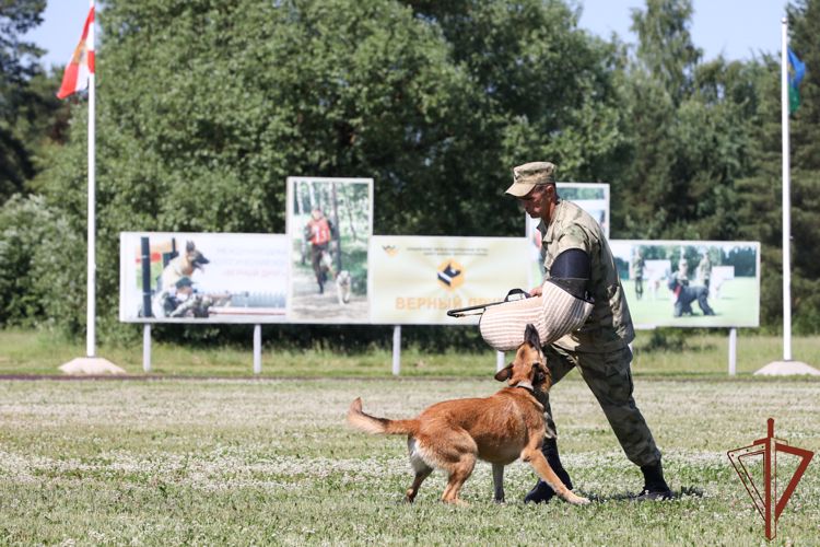 Команда Росгвардии стала призером международного кинологического конкурса «Верный друг»