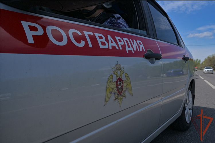 Убежавшего из детского сада ребенка  оперативно вернули родителям сотрудники Росгвардии в Барнауле