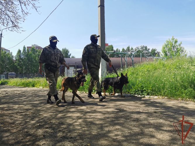 Кинологи Сибирского округа Росгвардии вместе с четвероногими сослуживцами встретились с журналистами 