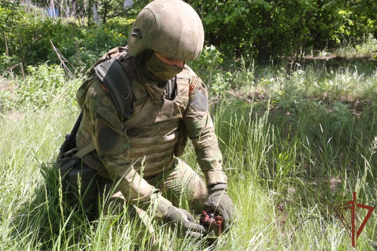 Саперы Росгвардии разминировали водонапорную башню в Харьковской области 