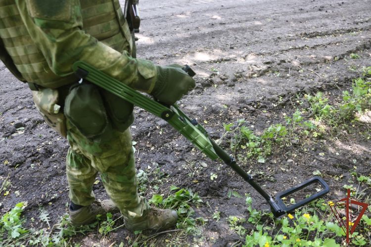 Саперы Росгвардии разминировали минное поле в ЛНР