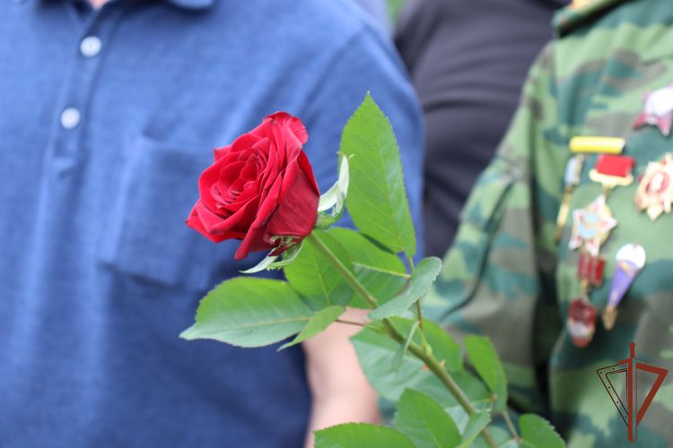 В Северо-Кавказском округе Росгвардии проходят мероприятия, посвященные Дню ветеранов боевых действий